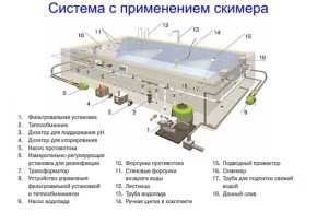 Проекты бань из бруса с бассейном Проекты бань из бруса с бассейном