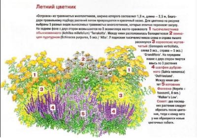 Цветники на даче своими руками: оригинальные идеи по оформлению красивых цветников для начинающих Цветники на даче своими руками: оригинальные идеи по оформлению красивых цветников для начинающих