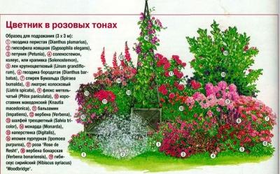 Цветники на даче своими руками: оригинальные идеи по оформлению красивых цветников для начинающих Цветники на даче своими руками: оригинальные идеи по оформлению красивых цветников для начинающих