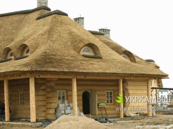 Камышовая кровля – преимущества восхищают! Камышовая кровля – преимущества восхищают!