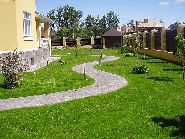 Как сделать газон: виды, подготовка, посадка, уход